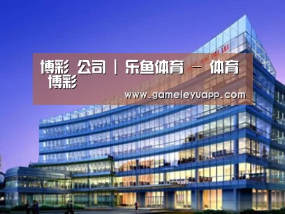 案例展示五