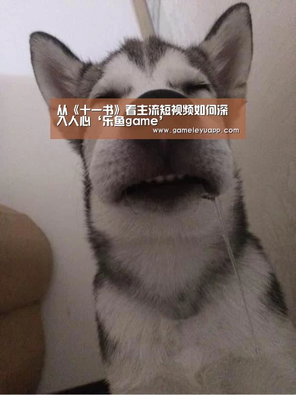 从《十一书》看主流短视频如何深入人心‘乐鱼game’(图1) 乐鱼娱乐