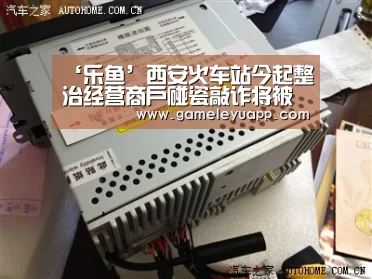 乐鱼