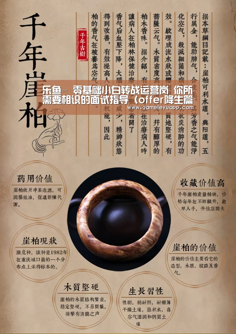 乐鱼-
零基础小白转战运营岗 你所需要相识的面试指导(offer降生篇)(图3) 乐鱼娱乐