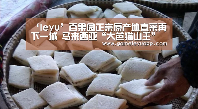 ‘leyu’百果园正宗原产地直采再下一城 马来西亚“大芭猫山王”全新上市(图1) 乐鱼娱乐