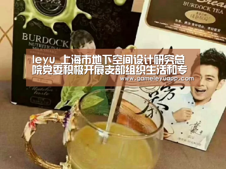 leyu_上海市地下空间设计研究总院党委积极开展支部组织生活和专题学习(图2) leyu_上海市地下空间设计研究总院党委积极开展支部组织生活和专题学习(图2)